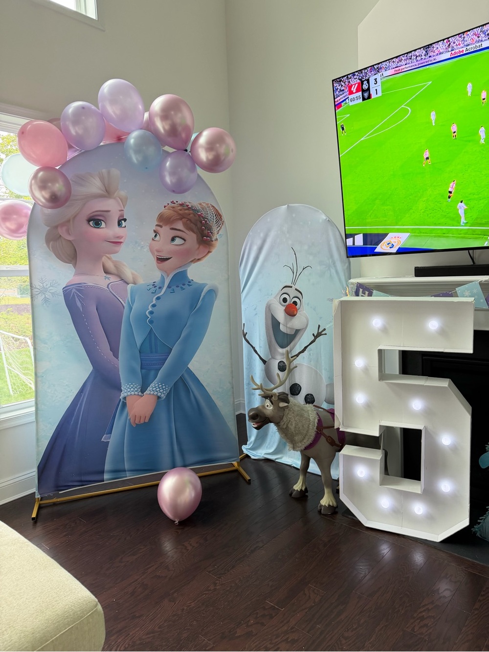 Disney Frozen Arch Covers